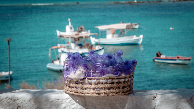 Κ & Π BACKSTAGE 19.08.24 (14)